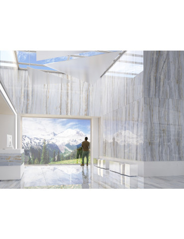 EXPANCE сірий 12060 50 071/L (1 сорт)