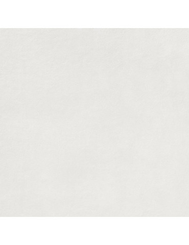 EXTRA DAR62722 white (1 сорт)