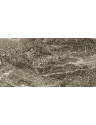 GPH12639 ZIRCON (1 сорт)