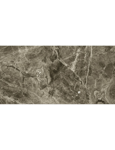 GPH12639 ZIRCON (1 сорт)