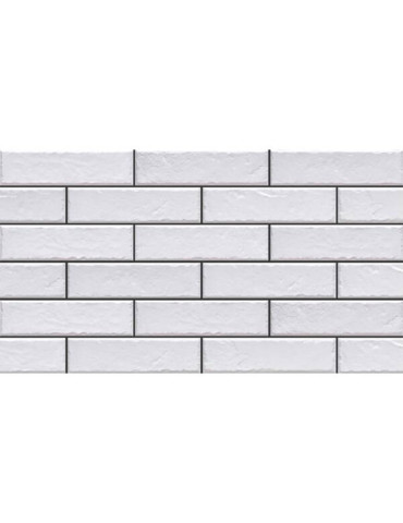 ELEWACJA FOGGIA BIANCO (1 сорт)