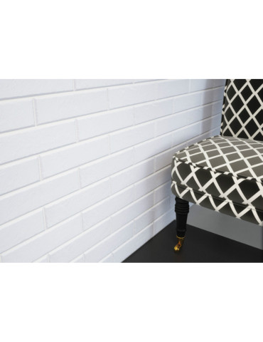 ELEWACJA FOGGIA BIANCO (1 сорт)