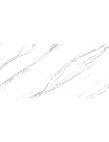 ECHO FULL LAPP (1 сорт)