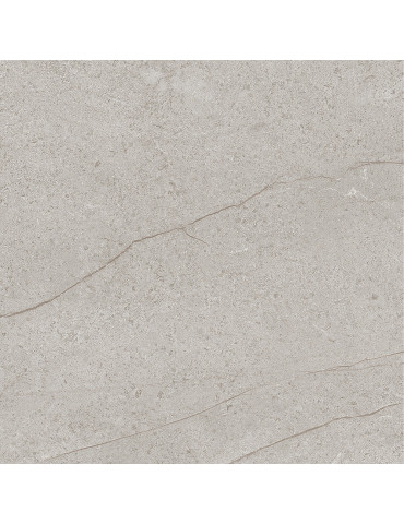 SURFACE сірий світлий 6060 06 071 (1 сорт)