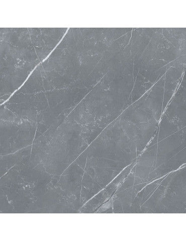 PULPIS сірий 6060 40 071/L (1 сорт)