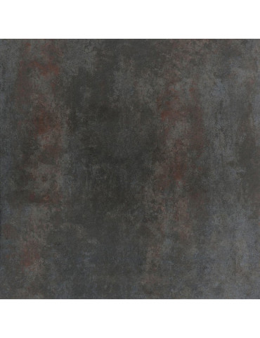 TRENDO NERO (1 сорт)