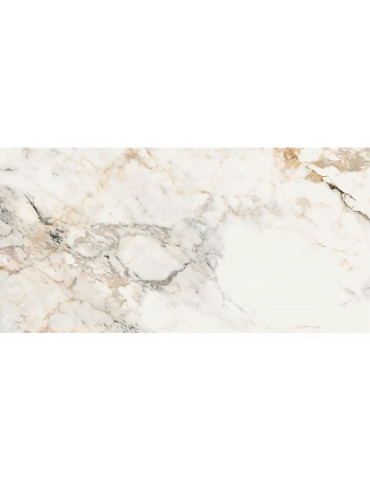 AE PAO6 12 LP (1 сорт)