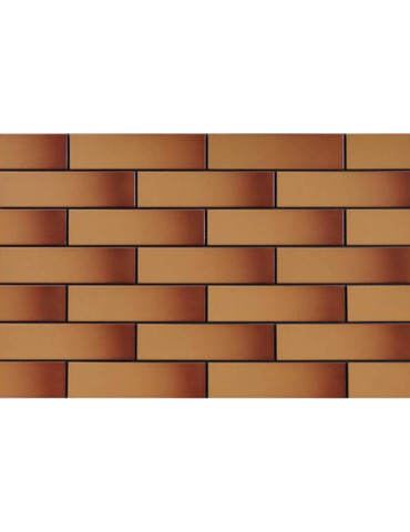 ЕЛЕВАЦІЯ ШКЛІВНА МІДНА (1 сорт)