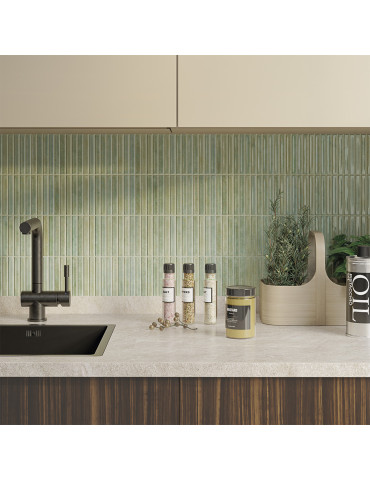 133168 POTTERS BARS AGAVE (1 сорт)