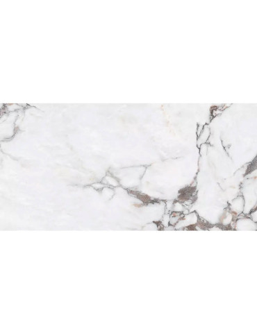 B12630 SANTANDER (1 сорт)