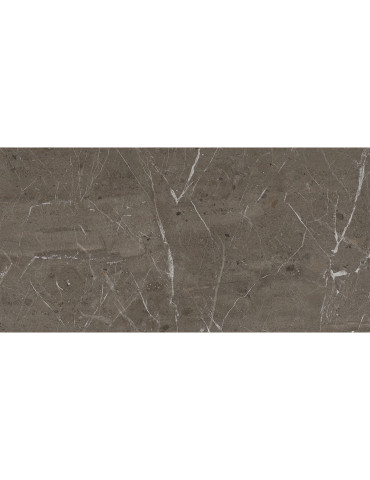 BREIMP6 12 RM (1 сорт)