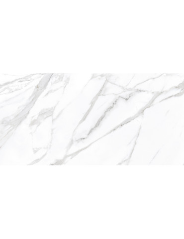 ARCTIC сірий 12060 31 071/L (1 сорт)