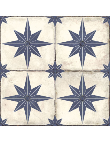 STAR BLUE (1 сорт)