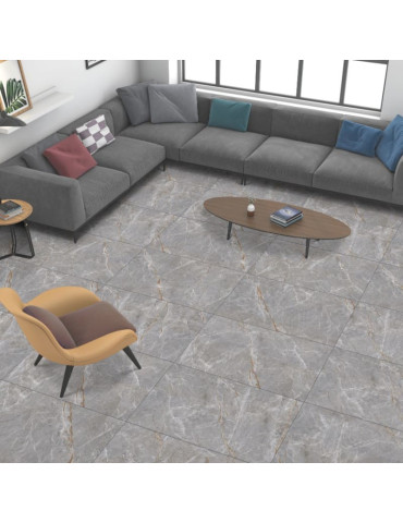 NAIRA GRIS (1 сорт)