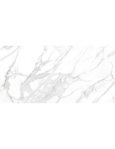 ARCTIC сірий 12060 31 071/L (1 сорт)