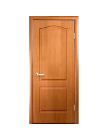 Дверне полотно 