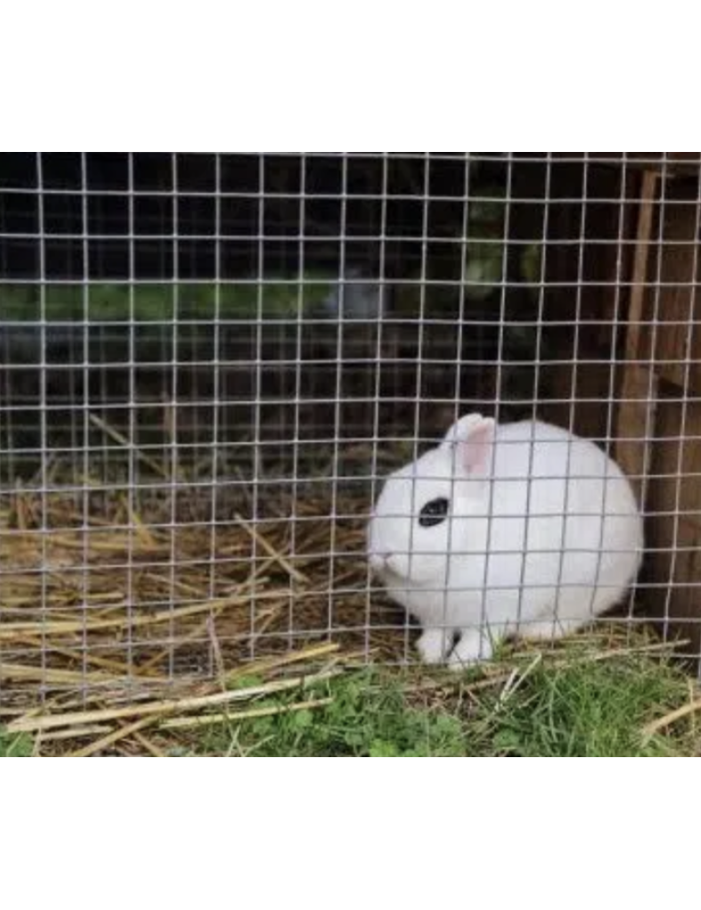 Сітка зварна оцинкована 50*50мм 1,4мм