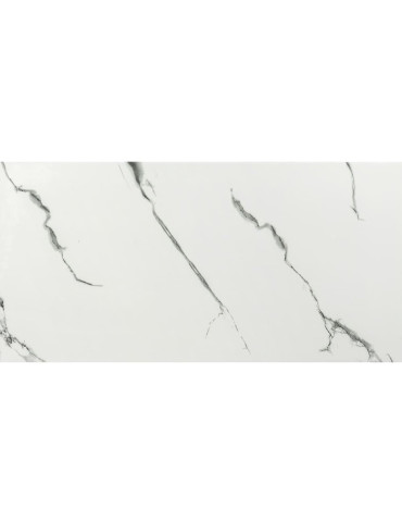 Самоклеюча стінова PET плитка 600*300*2mm (D) SW-00001684