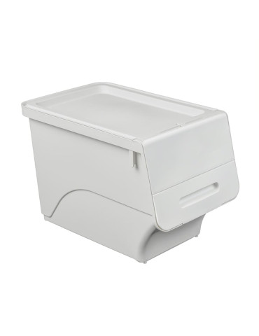 Контейнер для зберігання 45.5х28.5х31см Білий SW-00002421