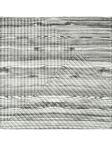 Самоклеюча декоративна 3D панель 500х500х5мм Бамбук Дерево Зебра SW-00002884